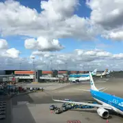 Aviones de KLM y otras aerolíneas estacionados en las puertas junto a la terminal del aeropuerto de Ámsterdam-Schiphol bajo un cielo nublado