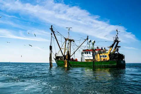 Cutter de pesca verde y amarillo navegando en el mar del Norte frente a Scheveningen, con gaviotas volando bajo un cielo azul