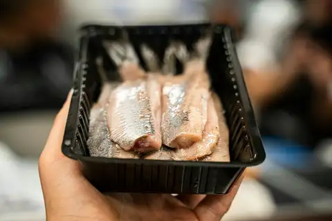 Filetes de arenque holandés crudo (Hollandse Nieuwe) en una bandeja negra sostenida con una mano