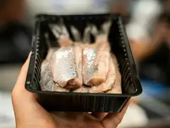 Filetes de arenque holandés crudo (Hollandse Nieuwe) en una bandeja negra sostenida con una mano