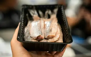 Filetes de arenque holandés crudo (Hollandse Nieuwe) en una bandeja negra sostenida con una mano
