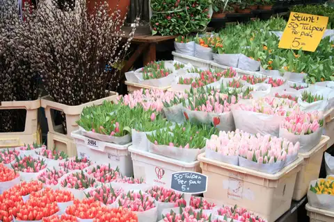 Ramos de tulipanes rosas, naranjas y amarillos en cajas de un puesto del mercado de flores de Ámsterdam, con carteles de oferta