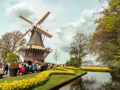 Molino de viento junto a un canal con franjas de narcisos y tulipanes en flor, visitantes sentados y campos de bulbos de colores al fondo