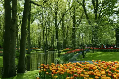 Tulipanes naranjas, amarillos y rojos junto a un estanque rodeado de altos árboles en los jardines de Keukenhof