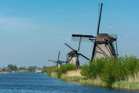 Molinos de Kinderdijk con sus aspas vistos de cerca desde la orilla del canal, entre juncos y arbustos verdes