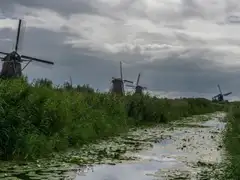 Hilera de molinos de Kinderdijk a lo largo de un canal con juncos y nenúfares en primer plano, bajo un cielo nublado