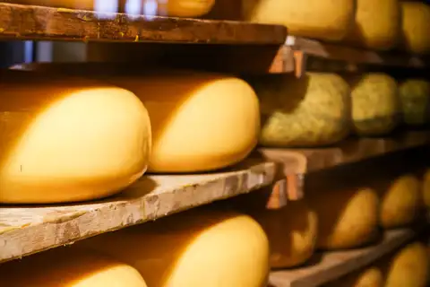 Ruedas de queso holandés de distintas edades apiladas en tablas de madera de una cava de maduración con luz cálida