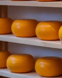 Ruedas de queso Gouda con corteza naranja alineadas sobre estantes de madera clara en una quesería