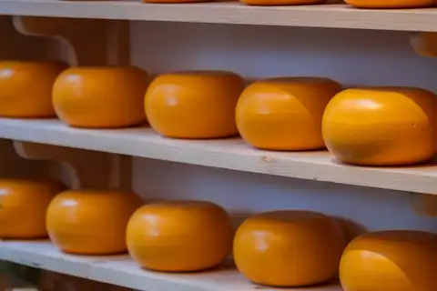 Ruedas de queso Gouda con corteza naranja alineadas sobre estantes de madera clara en una quesería