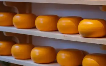 Ruedas de queso Gouda con corteza naranja alineadas sobre estantes de madera clara en una quesería
