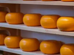 Ruedas de queso Gouda con corteza naranja alineadas sobre estantes de madera clara en una quesería