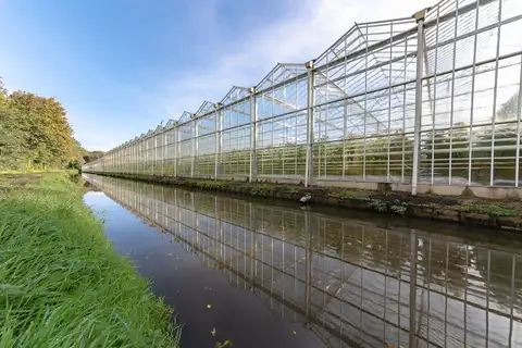 Gran invernadero de cristal junto a un canal rural holandés, reflejado en el agua, con hierba y árboles a la izquierda