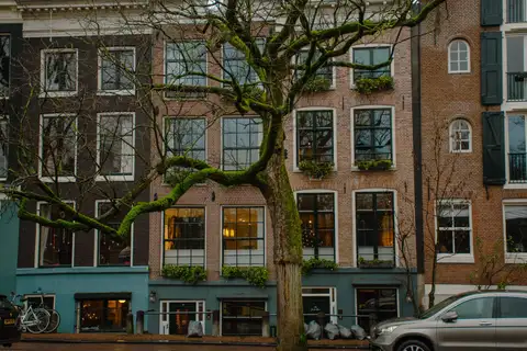 Fachadas de ladrillo de casas estrechas con grandes ventanales y cajoneras de flores, detrás de un árbol cubierto de musgo, en Ámsterdam